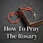 Logo of How To Pray The Rosary - Holy android Application 